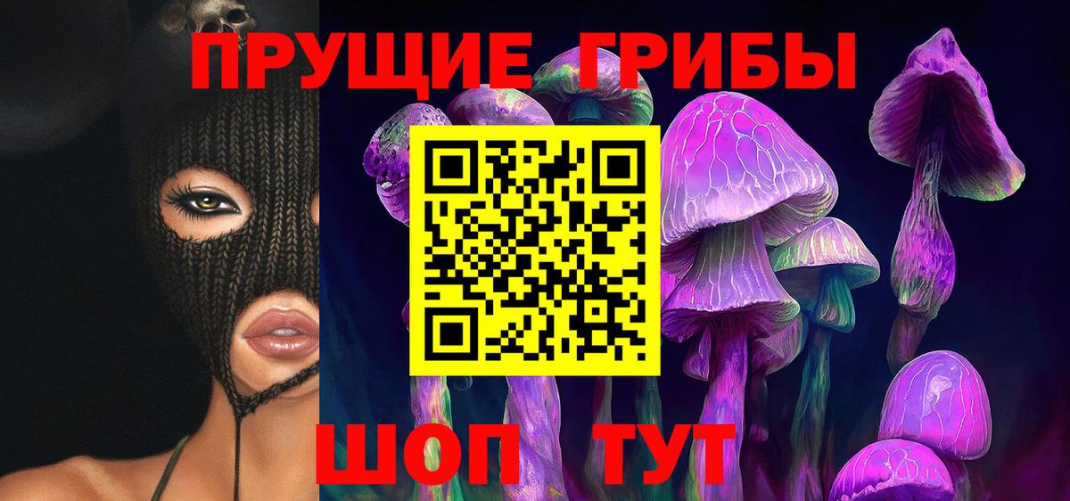 Галлюциногенные грибы Psilocybe  купить   Майкоп  Вход с VPN 